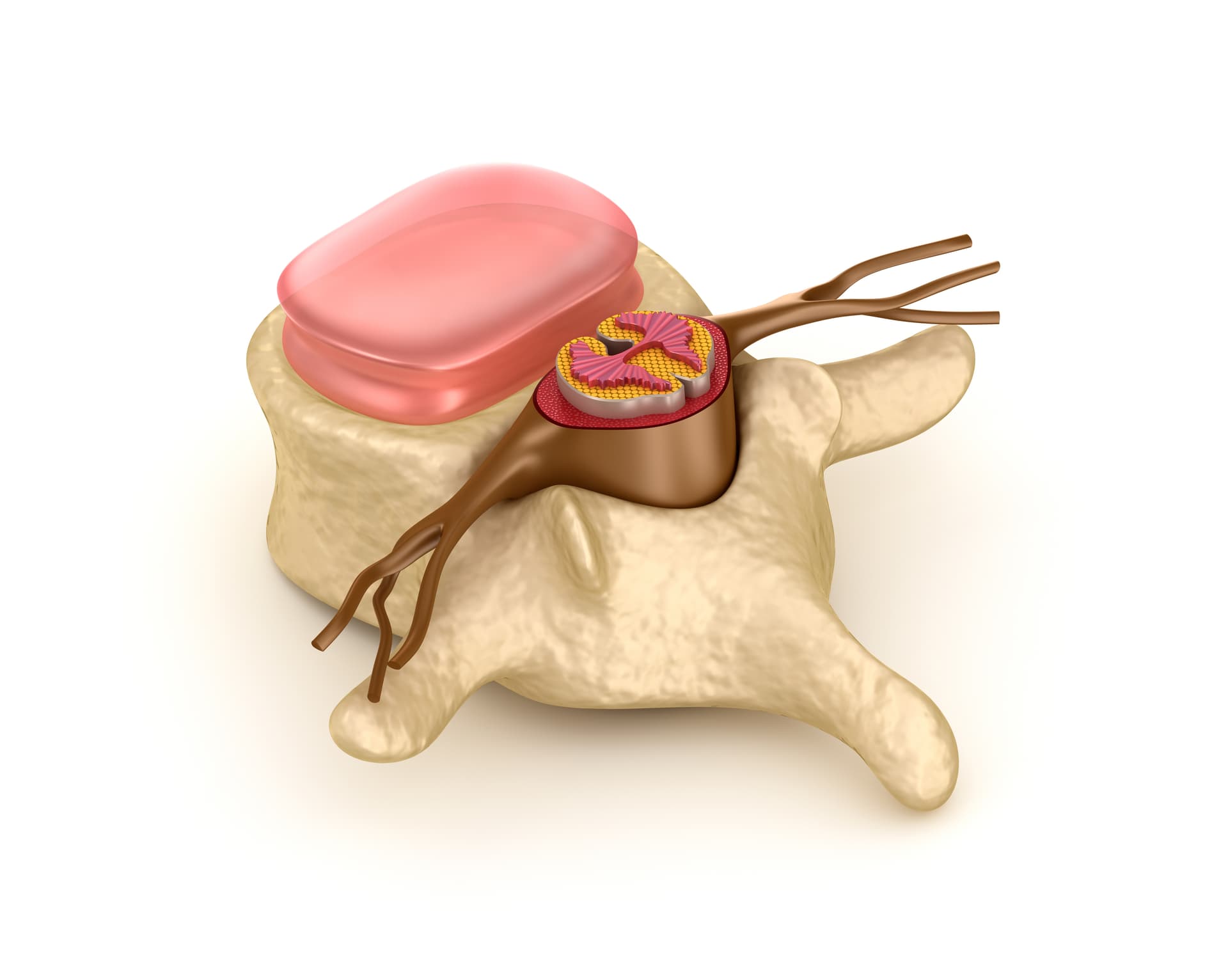 Auto Injury Treatment
